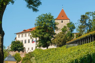 Prag Kalesi yeşil bağ ortasında