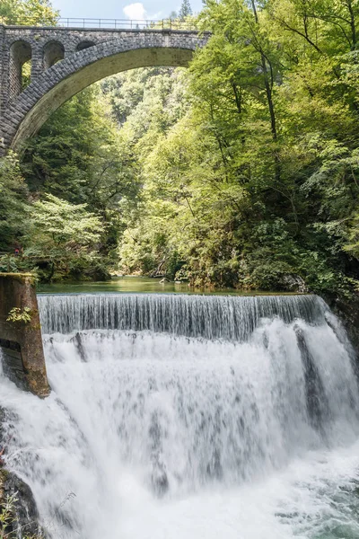 Floating waterfall in the middle of forest — Stock Photo, Image