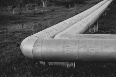 Isıtma borusunun iki kalın borusu. Siyah beyaz fotoğraf. Önplanda seçici odak, bulanık arkaplan.