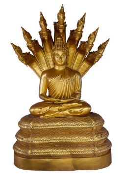 Altın Buda nilüfer ağacının üzerinde beyaz arka planda yedi başlık izole edilmiş bir tahtta oturuyor. Geleneksel Thai Buddha heykeli.