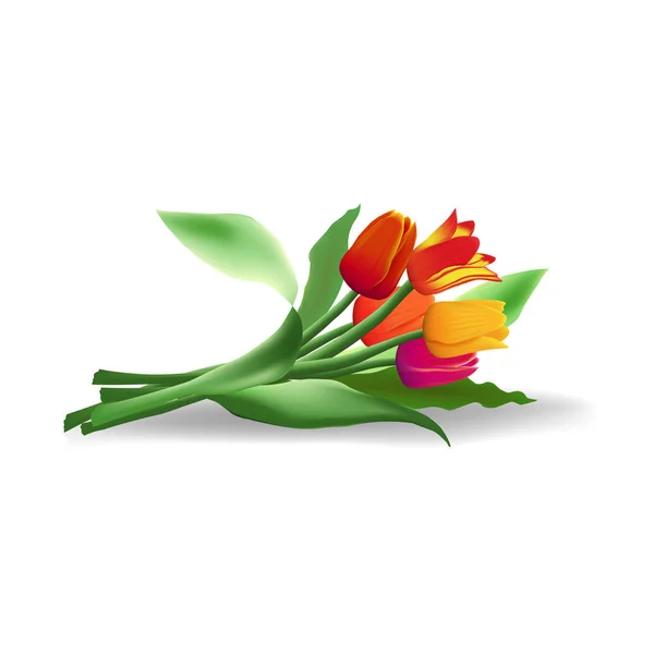 Leżący bukiet pięciu realistycznych wektorowych tulipanów z cieniem izolowanym na białym tle. — Wektor stockowy