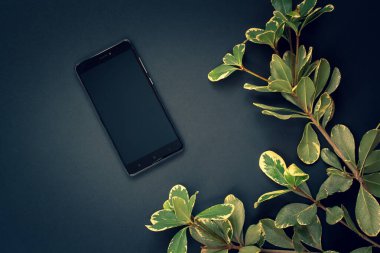 Flat lay. Black smartphone and a green twig on a dark blue background.