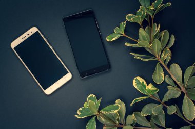 Flat lay. White and black smartphones and a green twig on a dark blue background.