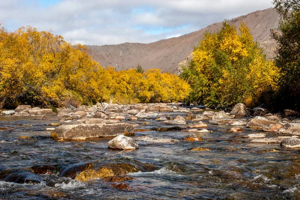 Rivière de montagne avec des pierres et des buissons d'automne le long des rives . — Photo