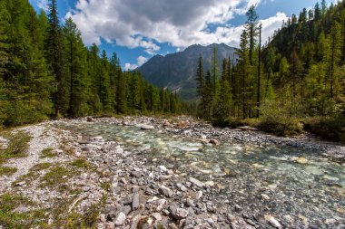 Kıyılardaki kozalaklı ormanlar arasında küçük bir dağ nehri taşların üzerinden akar. Uzaktaki yüksek dağ ve mavi gökyüzündeki bulutlar. Yatay.