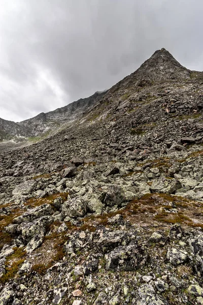Vysoká Hora Vrcholkem Posetým Velkými Mechem Pokrytými Kameny Zataženo Svisle — Stock fotografie