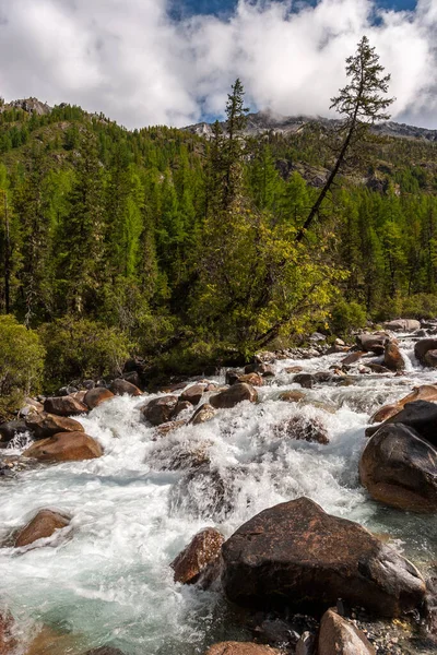 Tormentoso Río Montaña Con Piedras Las Montañas Bosque Verde Alrededor — Foto de Stock