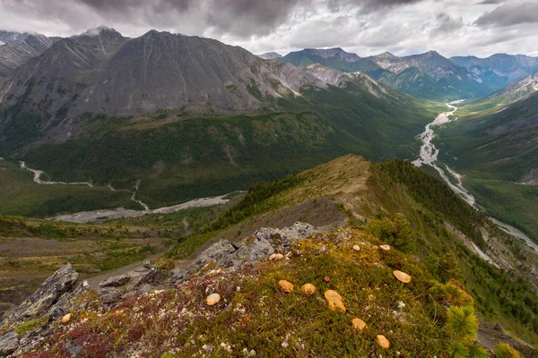 Θέα Από Μια Ψηλή Οροσειρά Μια Καταπράσινη Κοιλάδα Ένα Ποτάμι — Φωτογραφία Αρχείου