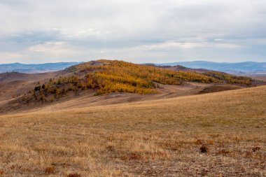 Kahverengi çimenli ve sarı ormanlı Steppe tepeleri. Uzakta bir sürü tepe var. Gökyüzünde bulutlar var..