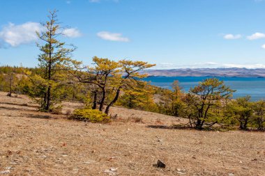 Önünde ağaçlar ve arka planında bir göl olan sonbahar manzarası. Tepenin yamacında, yerde taşlar var. Güneşli. Yatay.