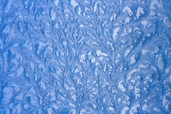 Verstrengelde Takken Van Een Winterpatroon Glas Tekenen Een Bevroren Raam — Stockfoto