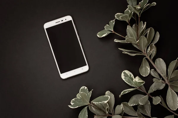 Düz yatıyordu. Beyaz akıllı telefon ve gri arka planda yeşil bir dal. Telefondaki boşluğu kopyala. Yerleşim için uygun. Vignetleme.