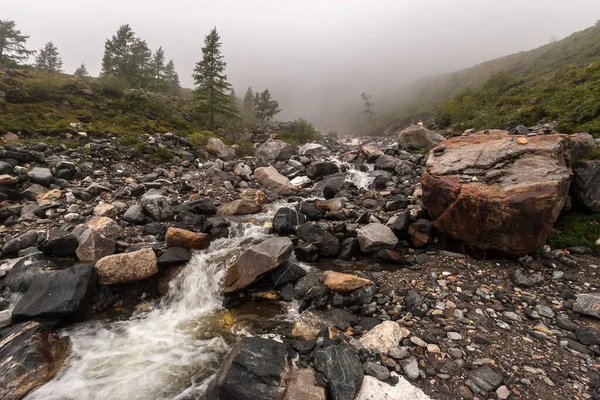 Río Montaña Fluye Entre Las Piedras Niebla Piedras Grandes Piedras — Foto de Stock