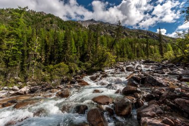 Büyük taşların arasında küçük bir dağ deresi akar. Orman çok sık. Mavi gökyüzü ve alçak bulutlar dağların üzerinde. Yatay.