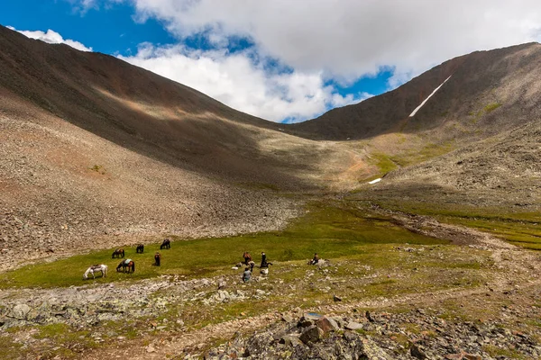 Persone Cavalli Riposano Prima Attraversare Passo Cavalli Pascolano Sull Erba — Foto Stock