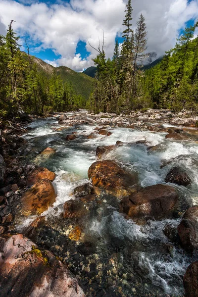 Une Rivière Montagne Avec Fond Rocheux Coulant Parmi Forêt Grosses — Photo