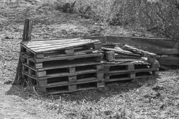 Old Curves Broken Pallets Lie Grass Fence Sunny Black White — Stock Photo, Image