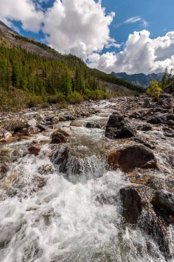 Nehir dağlardan taşların üzerinden akar. Su köpükleri. Tepelerdeki yeşil orman ve mavi gökyüzündeki düşük beyaz bulutlar. Dikey.
