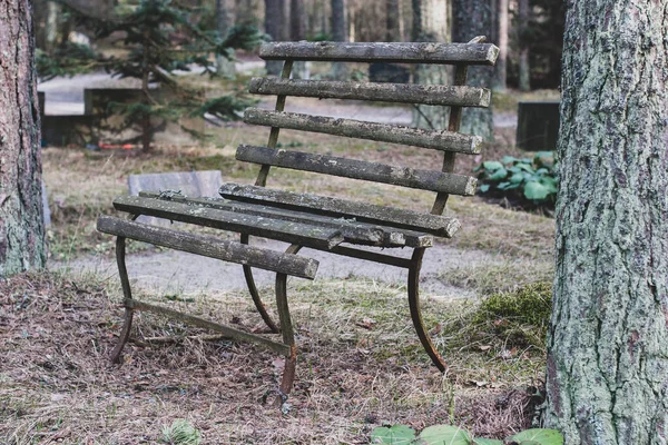 Curved Old Bench Cemetery Leaves Moss Thick Tree Trunks Horizontal — Stock Photo, Image