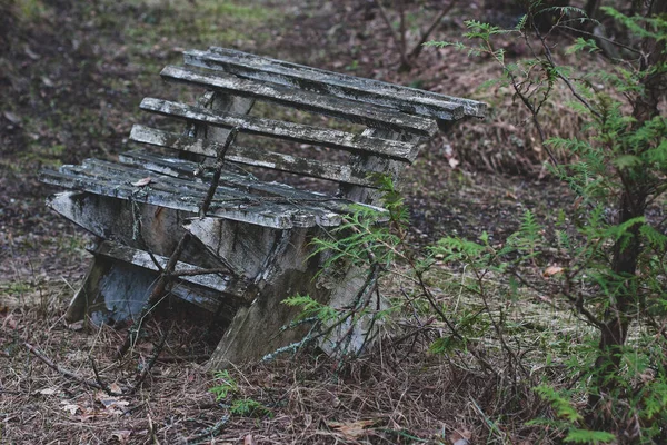 An old bench in a forest strewn with branches and leaves. Peeling paint. Tinted. Horizontal.