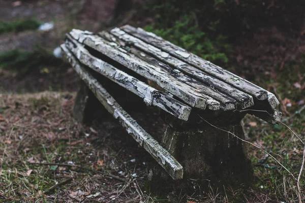 Old broken bench in the forest with peeling paint. Small focus at the beginning of the bench. Tinted. Horizontal.