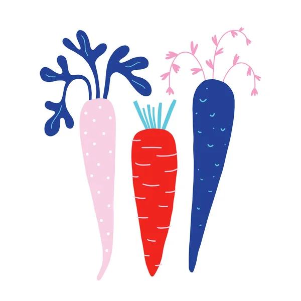 Carottes crues mûres, illustration de légumes fermiers naturels. Ingrédient vitaminé frais isolé sur clipart blanc, dessiné à la main, symbole de jardinage, agriculture — Image vectorielle