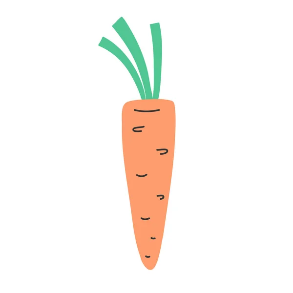 Icône de carotte, illustration dessinée à la main mignonne de carotte crue avec des feuilles — Image vectorielle