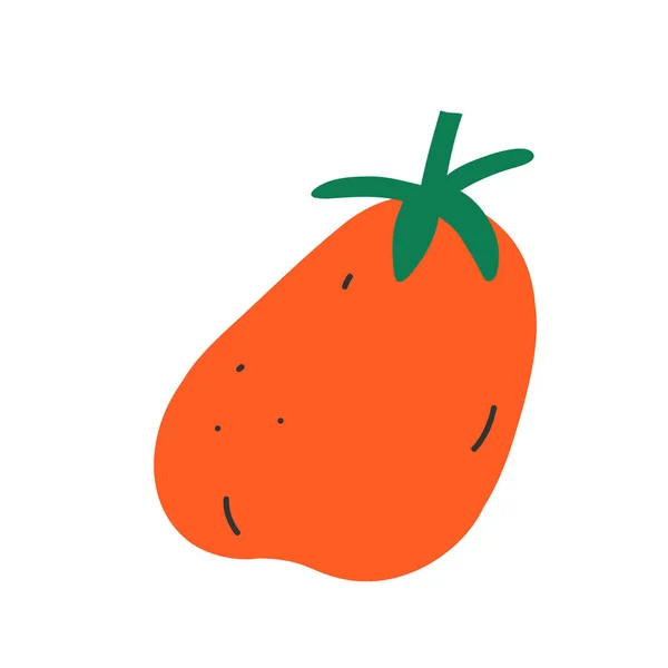 Ícone desenhado à mão de tomate, arte vetorial doodle, ilustração isolada no fundo branco . — Vetor de Stock