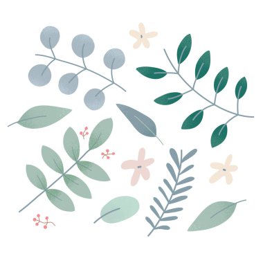 Vektör yeşillik, bitkisel elementlerin toplanması, çeşitli bitkilerin yaprakları, dalları ve çiçekleri, beyaz arka planda izole edilmiş modern el çizimi, sessiz renkler, bitkisel sanat 
