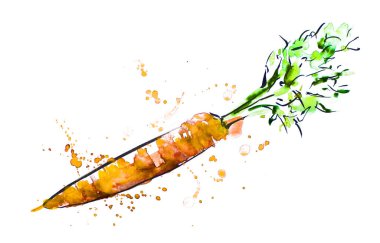 Suluboya ve mürekkeple çizilmiş havuç resmi 