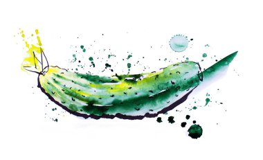 Suluboya ve mürekkeple çizilmiş beyaz arka planda salatalık