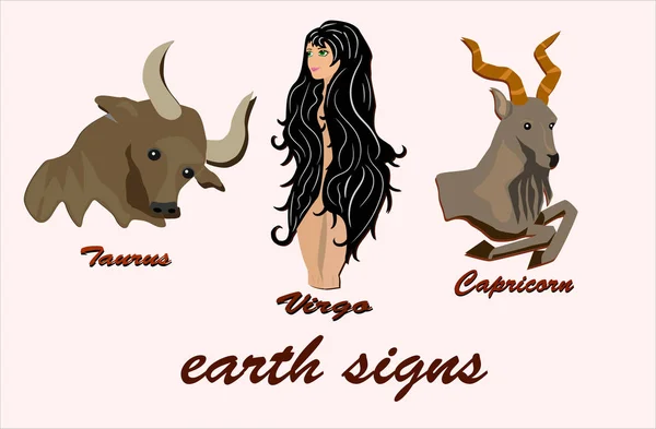 Signes Zodiaque Terre Taureau Vierge Capricorne — Image vectorielle