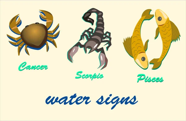 Signes Zodiaque Eau Cancer Scorpion Poisson — Image vectorielle