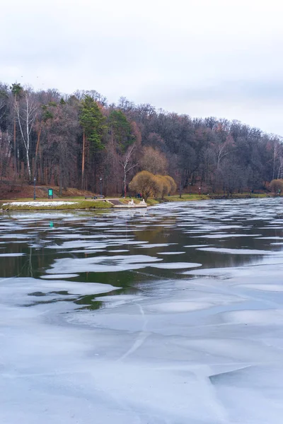 Winter Landscape Lake Trees — Stock Photo, Image