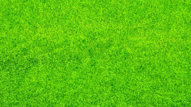 yeşil çimen arkaplan dokusu