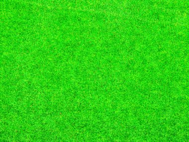 yeşil çimen arkaplan dokusu