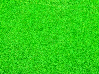 yeşil çimen arkaplan dokusu