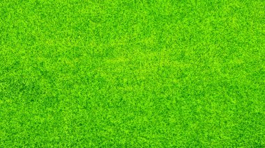 yeşil çimen arkaplan dokusu