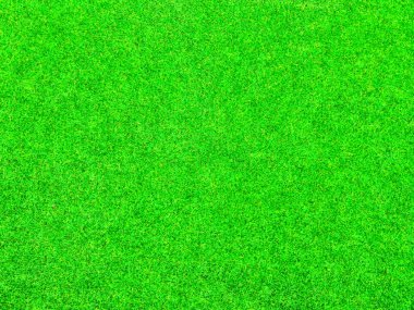 yeşil çimen arkaplan dokusu