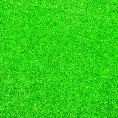 yeşil çimen arkaplan dokusu