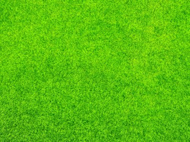 yeşil çimen arkaplan dokusu
