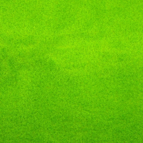 Zöld fű háttér textúra — Stock Fotó