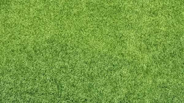 Текстура фону зеленої трави — стокове фото