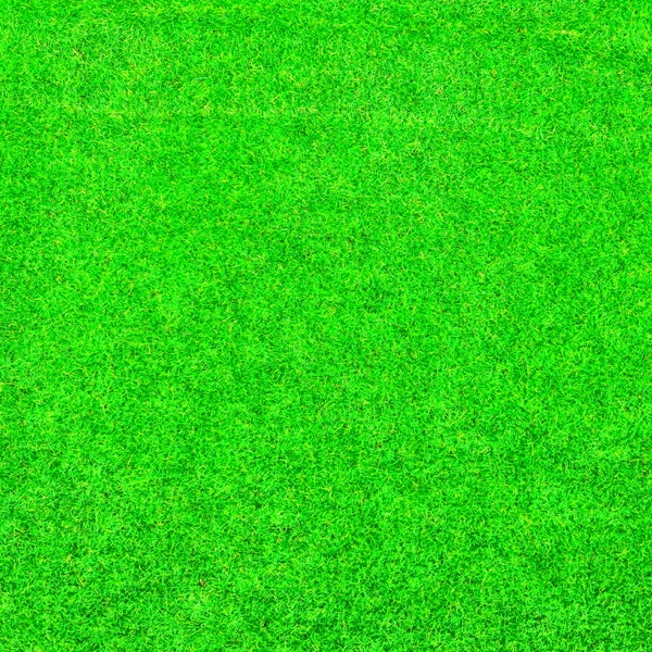 Vert herbe texture de fond — Photo