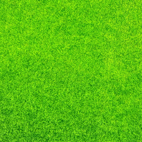 緑の草の背景色 — ストック写真