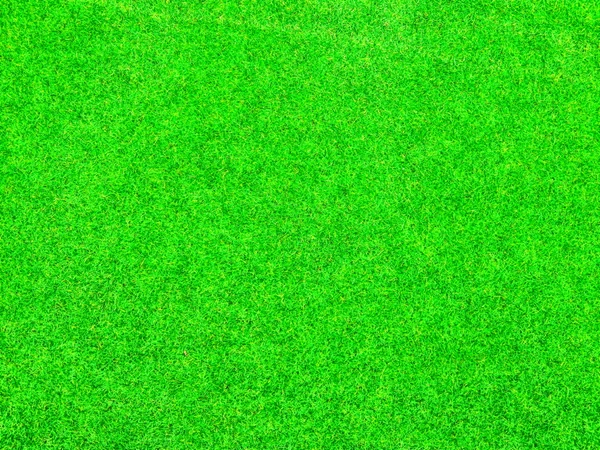 Grama verde fundo textura — Fotografia de Stock