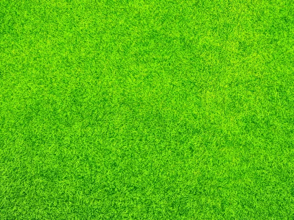 Текстура зеленой травы — стоковое фото