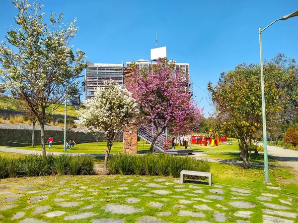 Cidade México Urbanismo Utiliza Geografia Urbana Como Ferramenta Fundamental Tenta — Fotografia de Stock