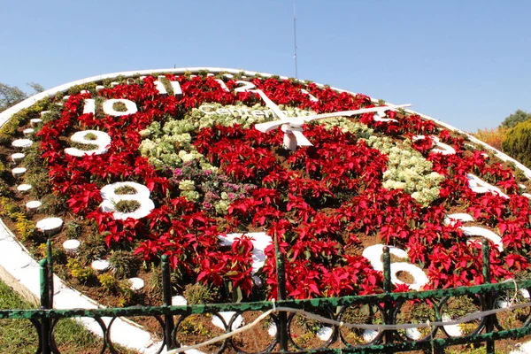 Квітка Парку Чарівного Міста Мексиці — стокове фото
