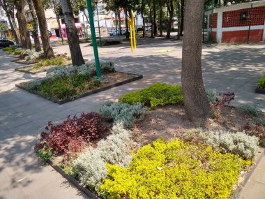 Parkta daha fazla hayat vermek için ağaçların etrafındaki ekiciler. Parkta daha fazla hayat vermek için ağaçların etrafındaki ekiciler. Birçok parkta, ağaçların etrafında küçük bahçeler inşa ettiklerini görebiliriz.